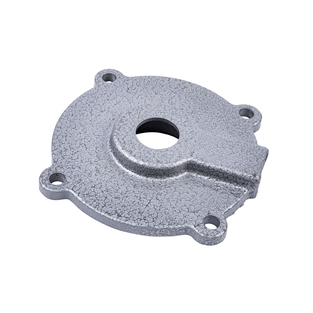 Крышка 21113011 Remeza подшипника LB 40-3