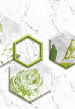 Кухонный фартук Амазония (Ф-278) 3000х600 мм