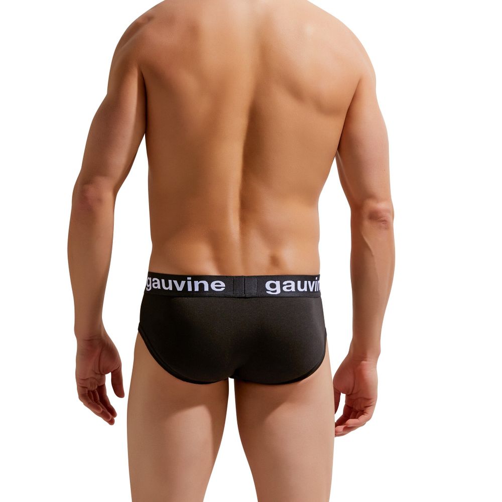 Мужские трусы брифы черные GAUVINE 2006