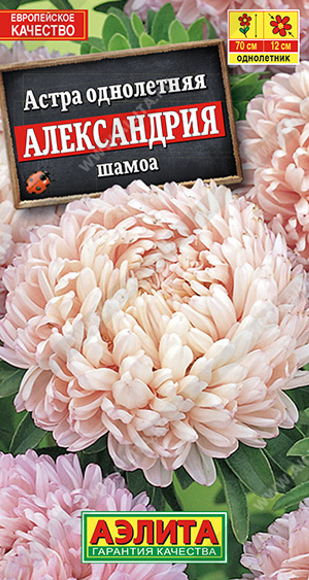 Астра Александрия шамоа 0,1г Ц Аэлита