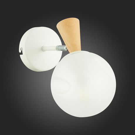 Светильник настенный Evoluce Catania SLE220701-01