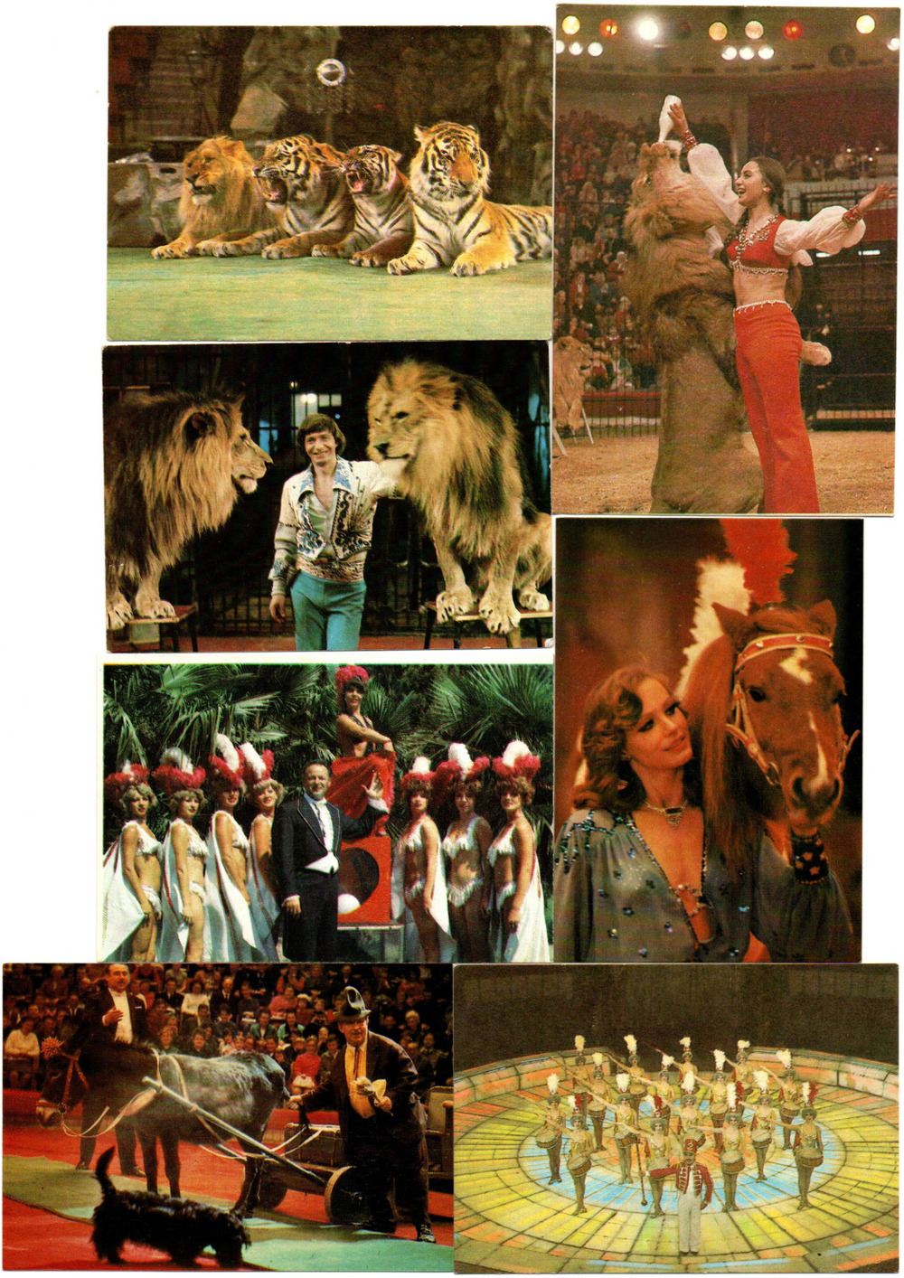 Календарики карманные 25 штук. Цирк 1981 - 1983 гг.