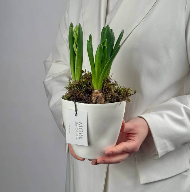 Композиция Ароматная поляна