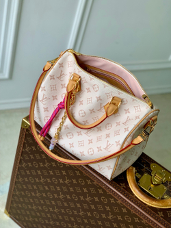 Louis Vuitton Speedy Soft 30