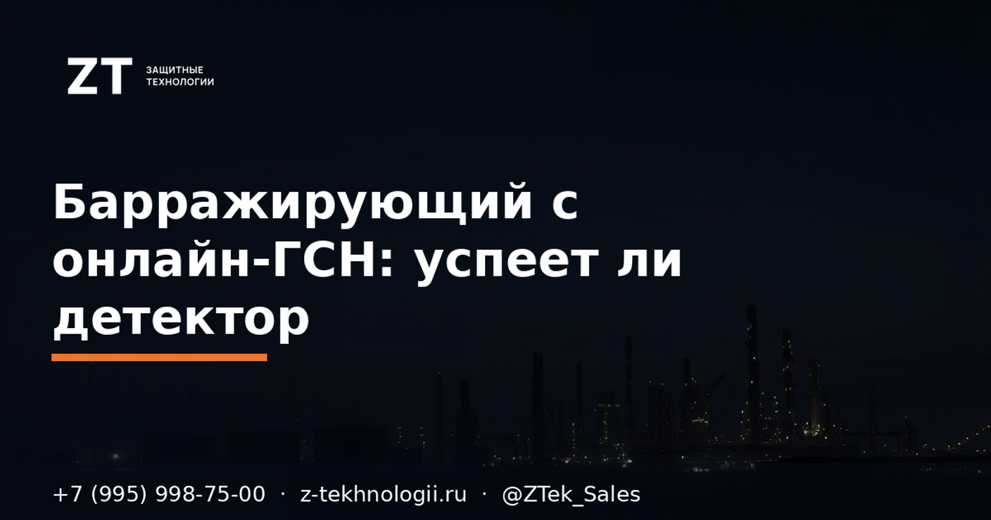 Барражирующий с онлайн-ГСН: успеет ли детектор