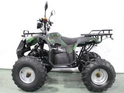Электроквадроцикл Green Camel Атакама T400 (60V 1500W R8 Дифференциал, Пониженная