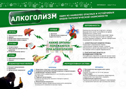 Комплект оборудования ЗОЖ | Школы ФАПы