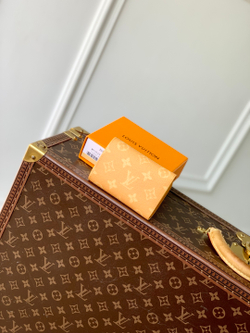 Louis Vuitton Victor Wallet