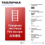 Табличка Пожарная лестница, на дверь и стену, информационная и мультиязычная (русский, английский, китайский), серия GLOBAL, 25х15 см, Айдентика Технолоджи