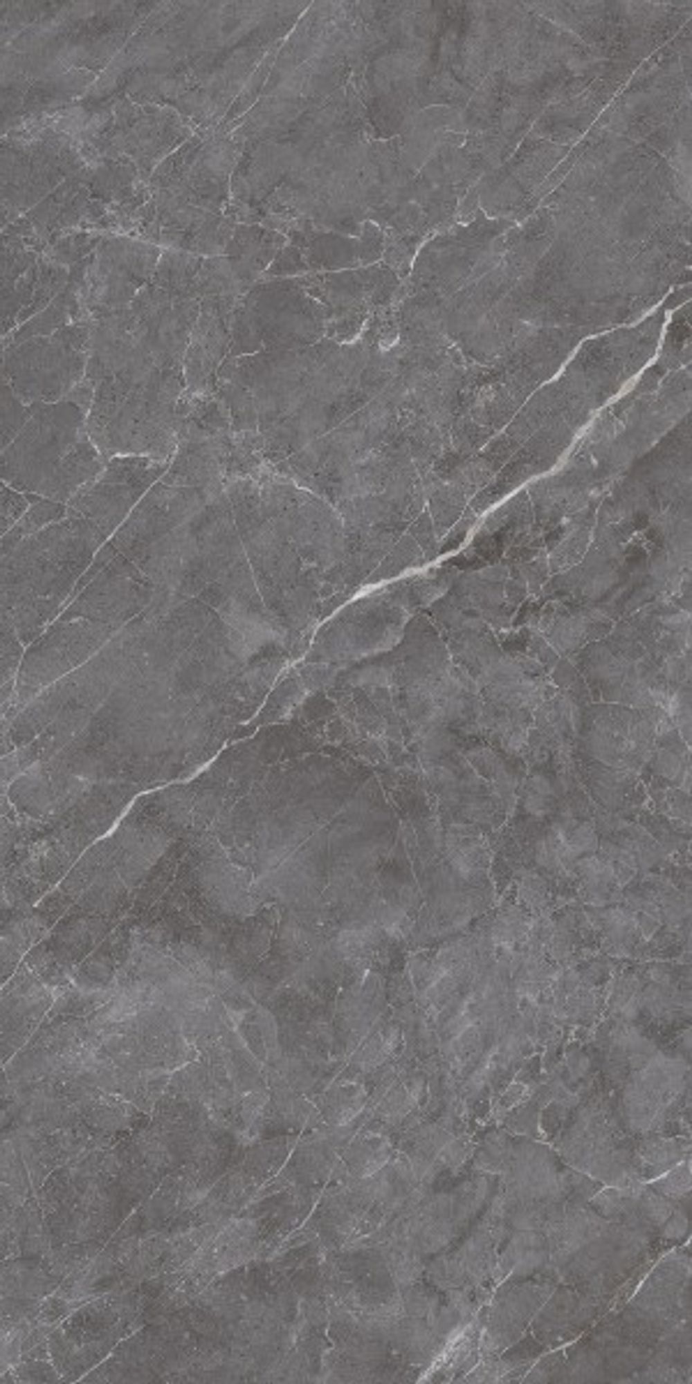 ESPERIA GRIGIO LAPPATO CL4003-A