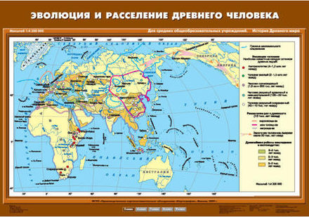 Эволюция и расселение древнего человека, 100х70см