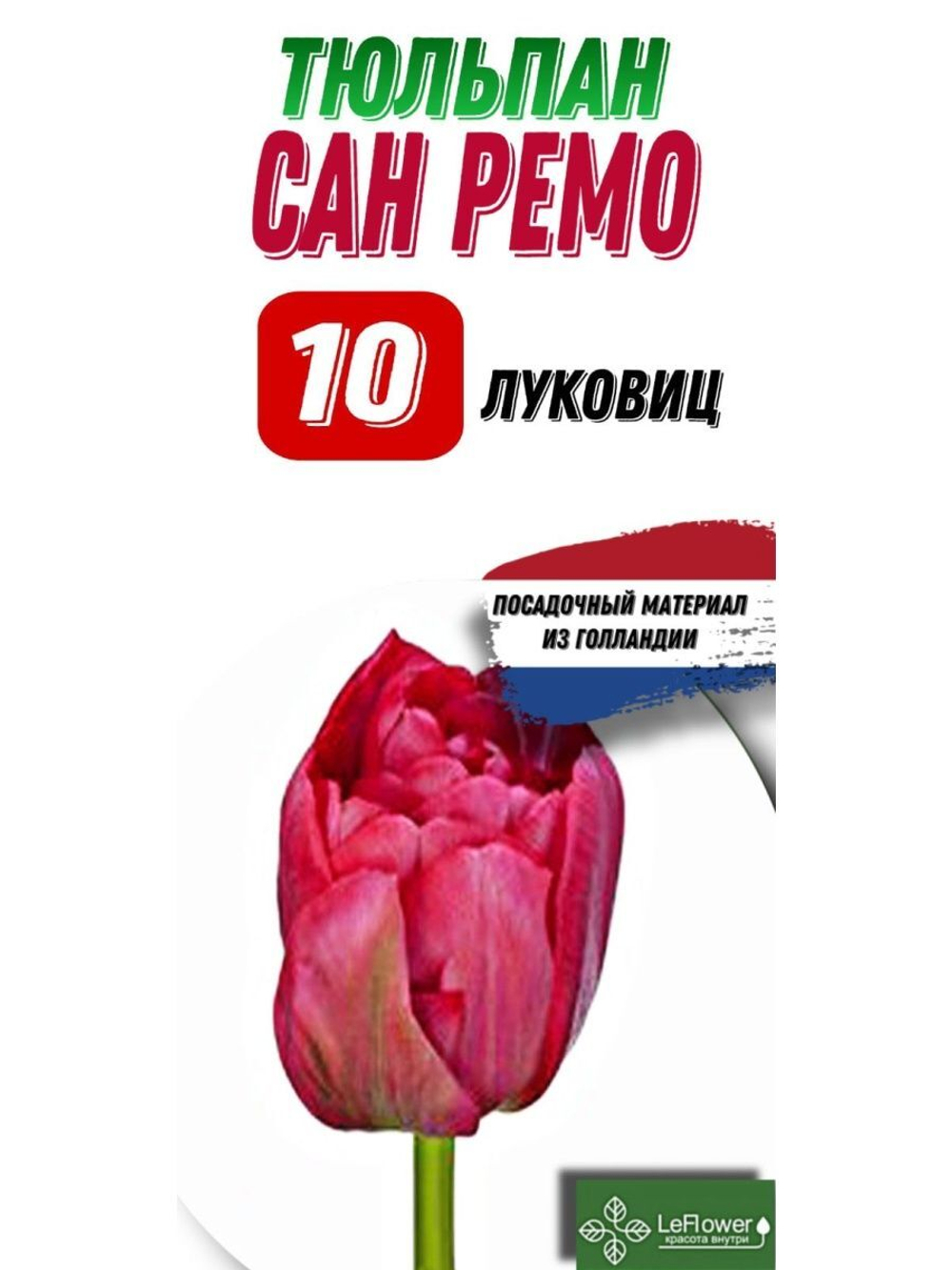 Тюльпан Луковица, Сан Ремо, 10шт