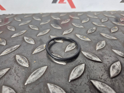 О-кольцо 095-1700