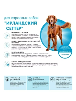 Сухой корм для собак породы Ирландский сеттер, лосось, 12 кг