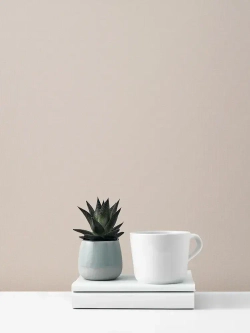 Обои Erismann бежевые рогожка однотонные флизелиновые для стен в зал, для спальни, моющиеся, размер рулона 10.05 метра на 1.06 метра