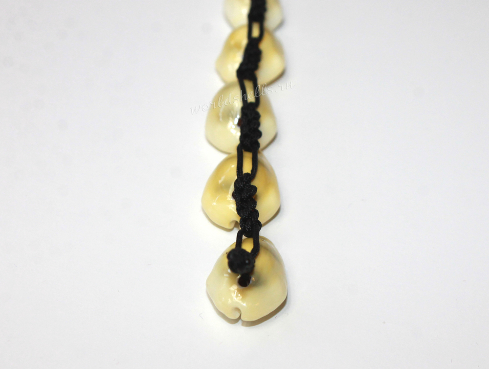 Украшение из ракушек браслет