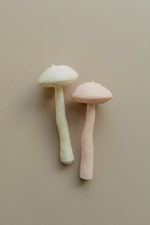 Свеча Гриб Подберезовик / Unification Love