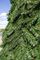 Уличная елка Русская зеленая 23 м., каркасная, ПВХ, Green Trees (GT23RUSPVC)