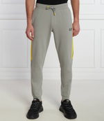 Спортивные штаны EA7 - серый(3DPP76 PJEQZ)