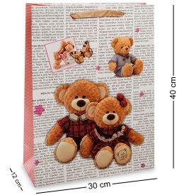 Z-21-3 Пакет большой