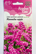 Лимониум Малиновое парфе (Кермек) 0,05 г СМЦ-261