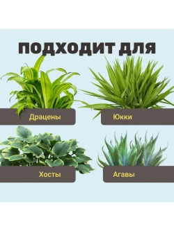Органический грунт для драцены и юкки 2,5 л