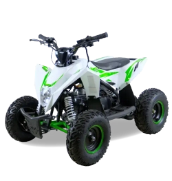 Детский квадроцикл MOTAX GEKKON 90cc 1+1 (Реверс)