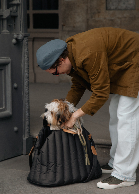 Сумка-переноска Пони коричневая