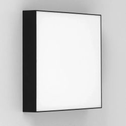 Citilux Тао CL712X242N LED Светильник потолочный с диммером Чёрный