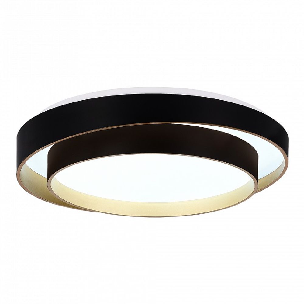 Накладной светильник EVOLUCE Crosby SLE6009-402-01