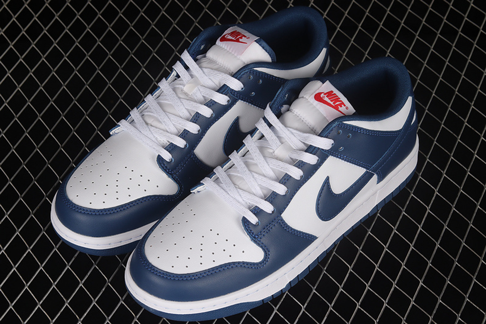 Nike Dunk Low Valerian Blue