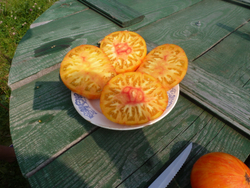 Помидоры - Beauty King - Король Красоты