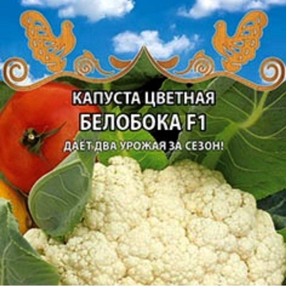 Капуста цветная Белобока F1