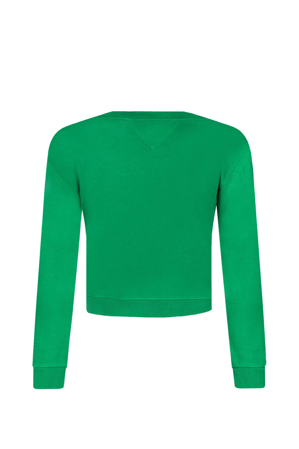 Худые MONOTYPE SWEATSHIRT Tommy Hilfiger - зеленый(KG0KG07887)