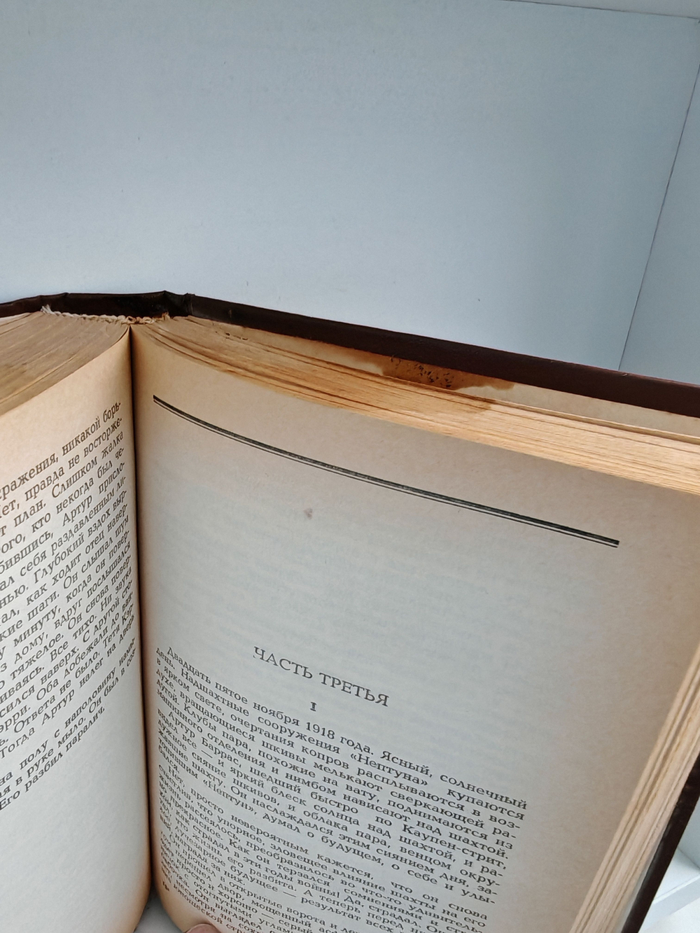 Звезды смотрят вниз