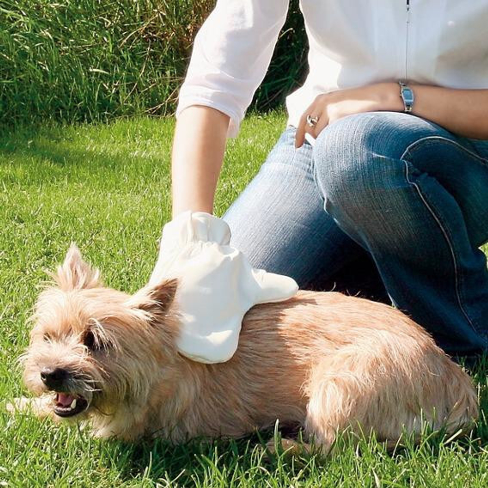 Массажная перчатка для собак и кошек Trixie Coat Care Glove, размер 14х25см.