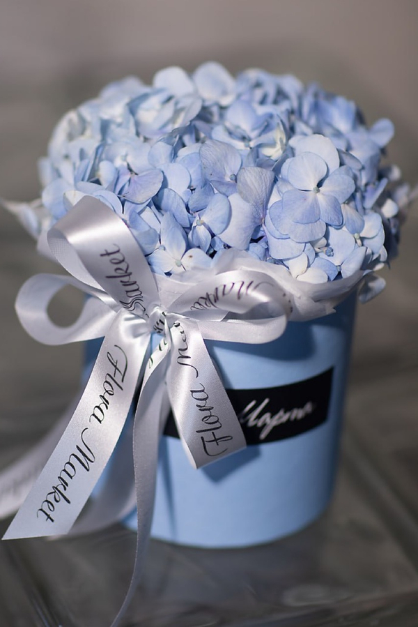 Композиция из нежно - голубой гортензии в шляпной коробке «с 8 Марта»