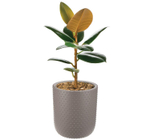 Кашпо БАБЛ 235 мм 4 л со вставкой М3253