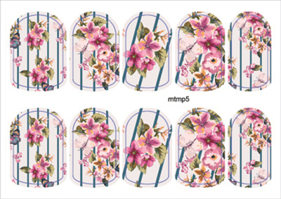 Термопленка ALLURE Арт.mtmp5 Набор 10 шт