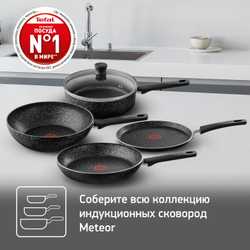 Сковорода для блинов Tefal Meteor 25 см 04208025