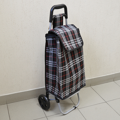 Тележка-сумка до 30кг 28*32*92см 32л, брезент, колеса, ЭВА d15см VETTA