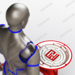 Стабилоплатформа с обратной биологической связью
