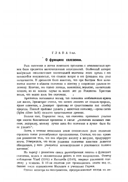 О функциях селезенки | Е.Л. Березов