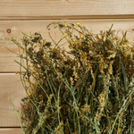 Донник букет_4.jpg