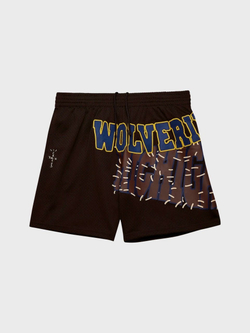 Шорты Cactus Jack Travis Scott x Mitchell & Ness University Of Michigan Basketball Brown