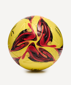 Мяч футбольный Triumph Elite Winter №5