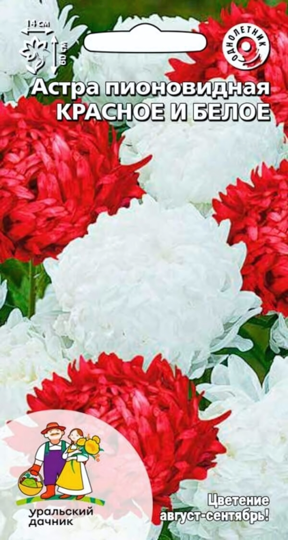 Семена Астра пионовидная Красное и белое (УД) Е/П