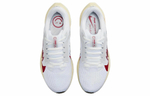Кроссовки Nike Air Zoom Pegasus 40 Prm 40 (Женская размерная сетка)