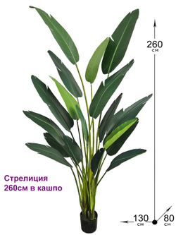 Искусственная стрелиция для офиса — декоративное растение для рабочего пространства, искусственные растения для интерьера