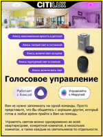 Потолочный светодиодный светильник Citilux Диамант Смарт CL713A100G